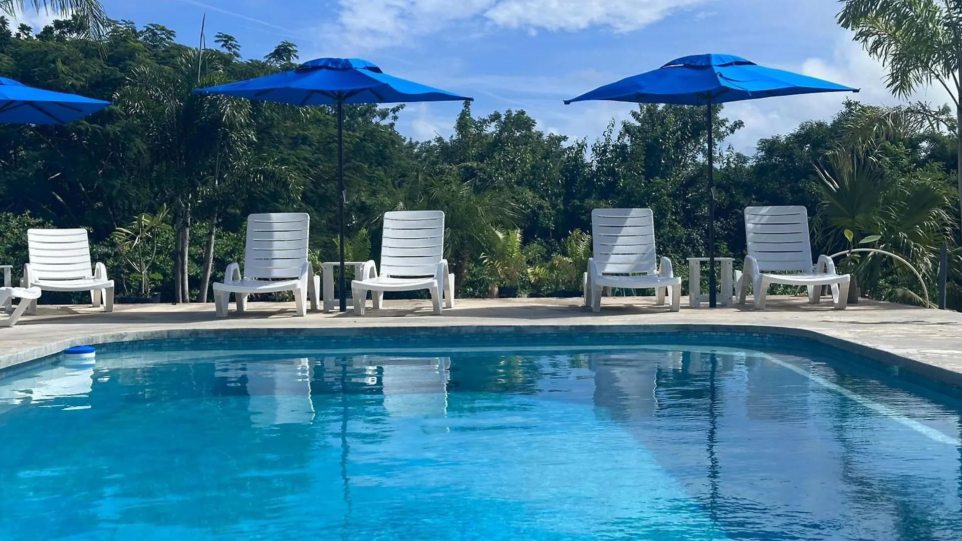 Club Vieques - Adults Only Resort - Lgbt Friendly 4*,  Portoriko
