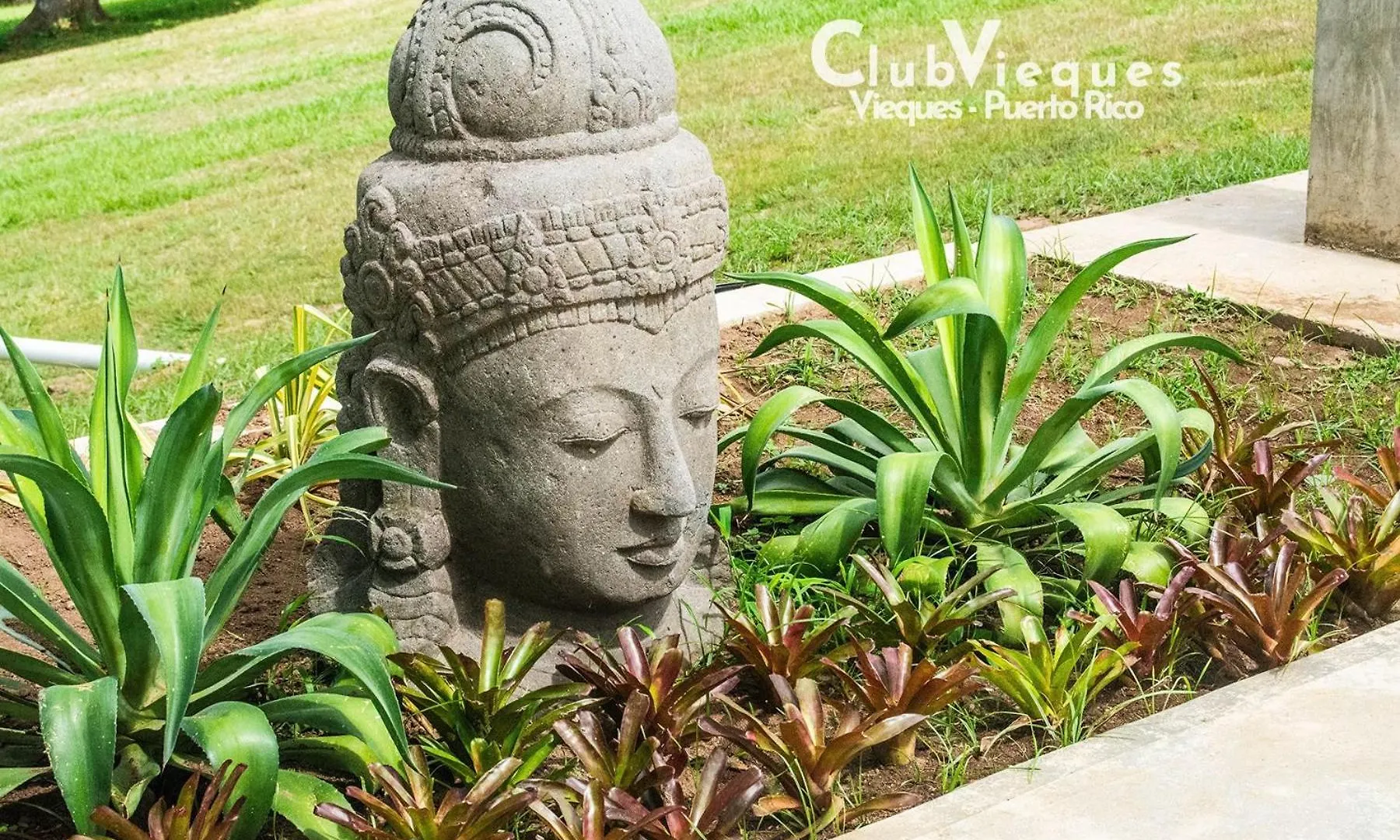 Hotel Club Vieques - Adults Only Resort - Lgbt Friendly