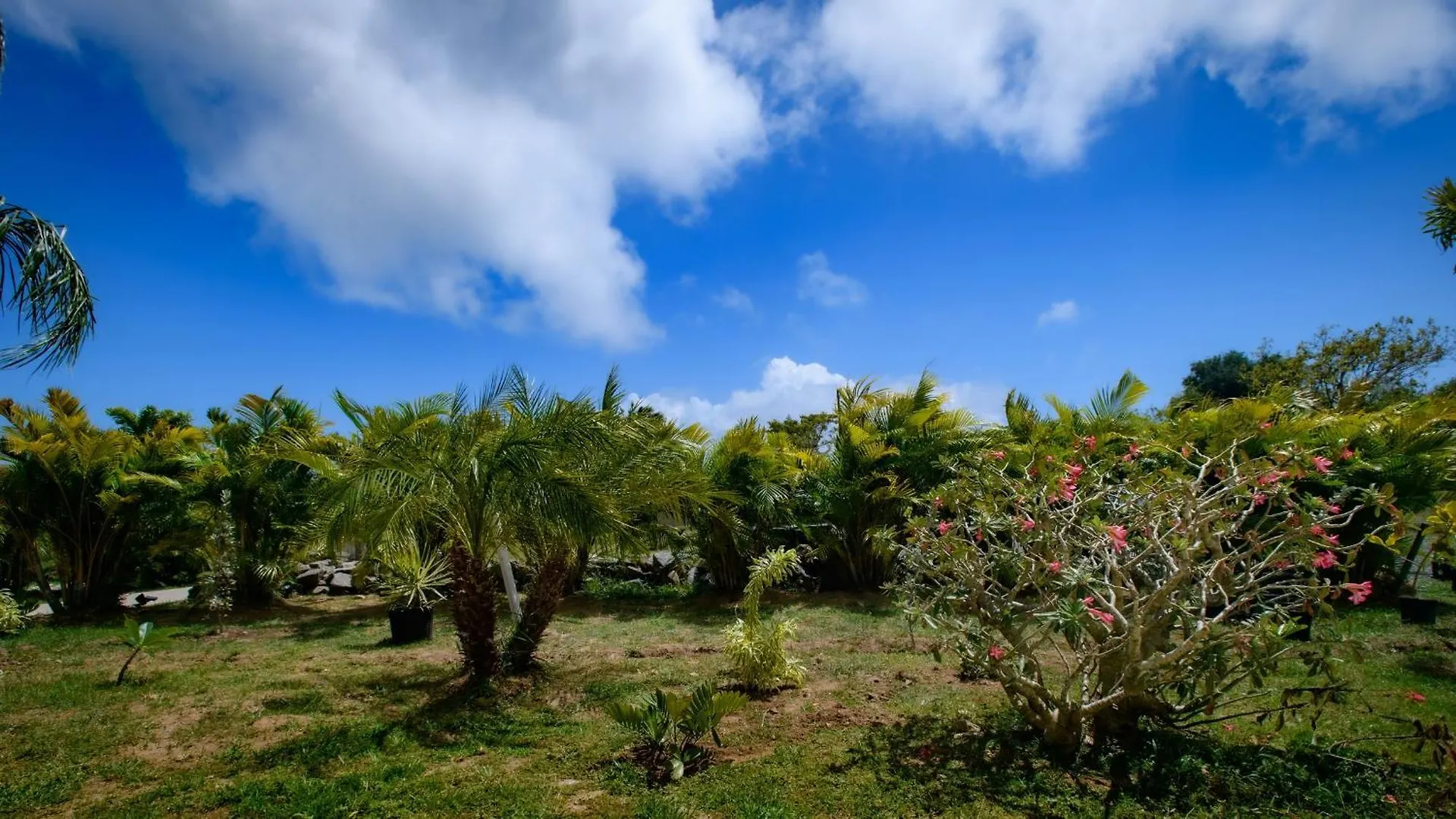 Club Vieques - Adults Only Resort - Lgbt Friendly 4*,  Portoriko