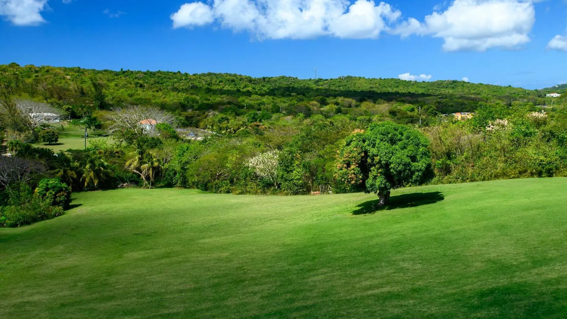 Club Vieques - Adults Only Resort - Lgbt Friendly